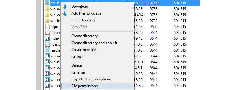 The cgi-bin folder has been right clicked and the mouse is hovering over the "File permissions" option from the list that appeared.
