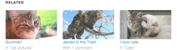 Jetpack — Related Posts Module image