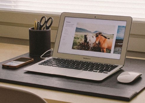 Use your client's website.
