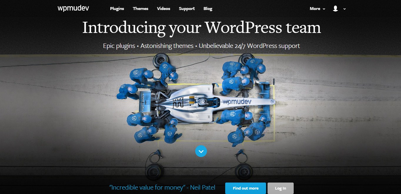 WPMU DEV's featured image on the home page\.