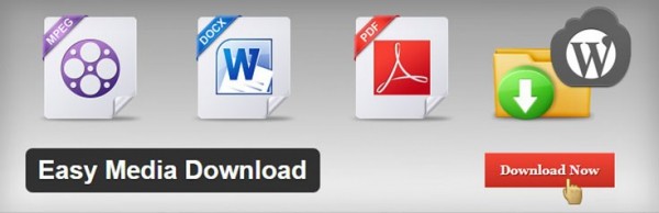 Easy Media Download image