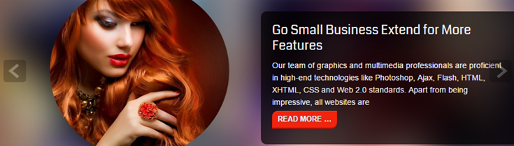 The slider from the Small Business theme by d5creation.