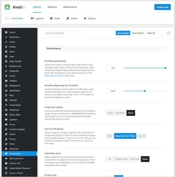 Avada theme - performance options.