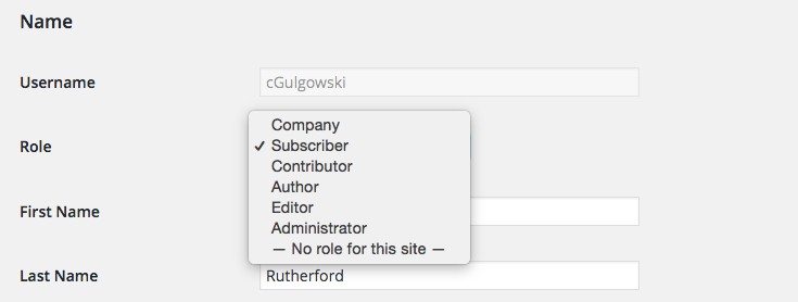 Our New Company Role