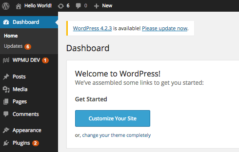 Use the WordPress dashboard for inspiration on how to structure your content.