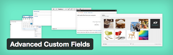 Advanced Custom Fields takes the formatting guesswork out of the dashboard experience.