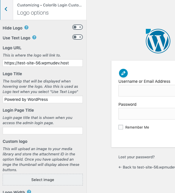 Customize the logo shown