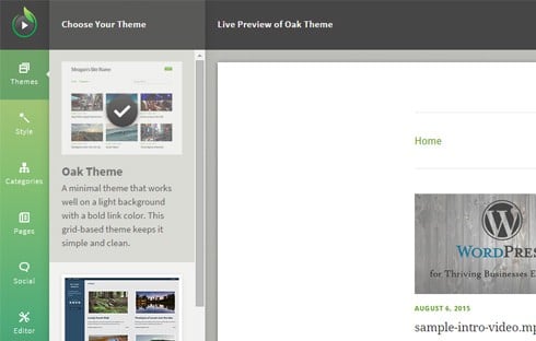 Theme options