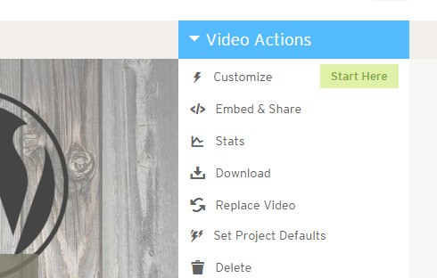 Video actions menu