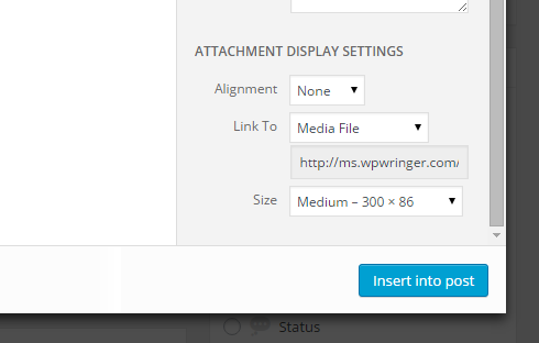 Attachment display settings