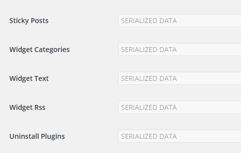 Serialized data displayed on the settings tab.