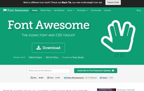 The "iconic font and CSS toolkit."