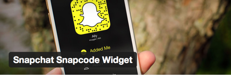 The Snapcode Widget plugin.