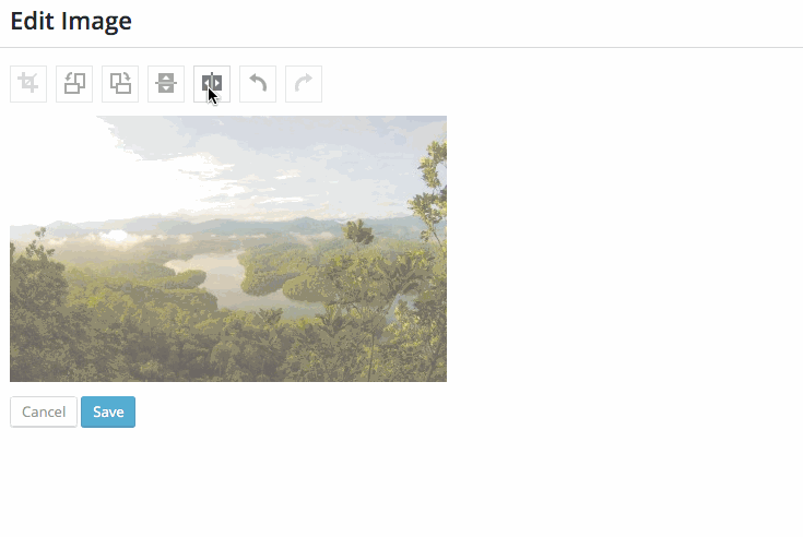 Image Editing In WordPress