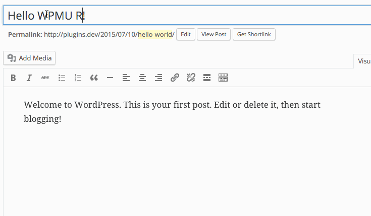 Changing the Post Name