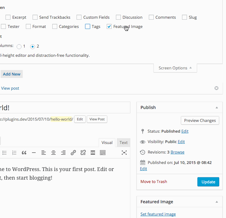 WordPress Screen Options