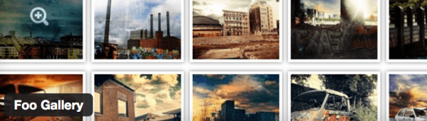 2. FooGallery image