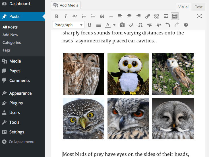 View of gallery after being inserted in the editor