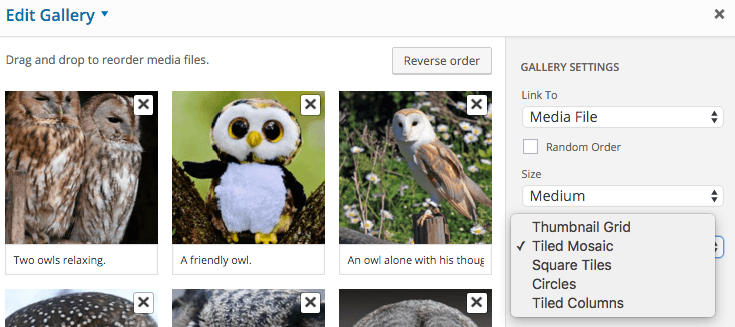 Gallery type options