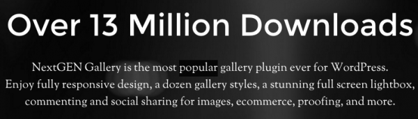 1. NextGEN Gallery image
