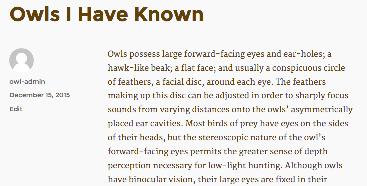 Owl blog post without pictures