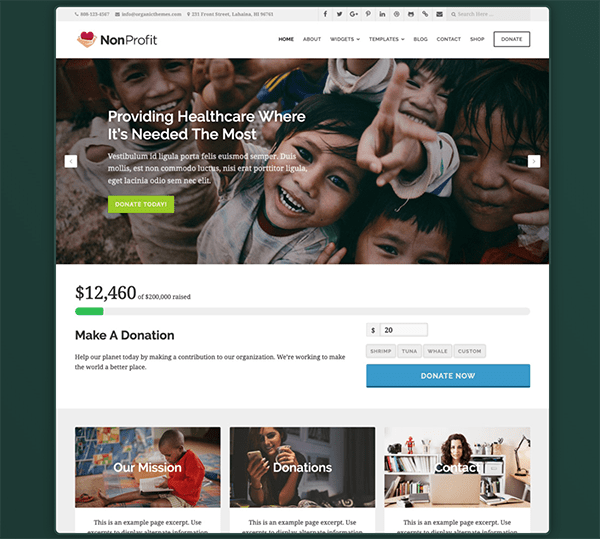 NonProfit theme header.