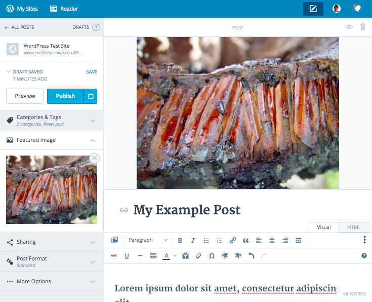 Calypso - featured image added to post