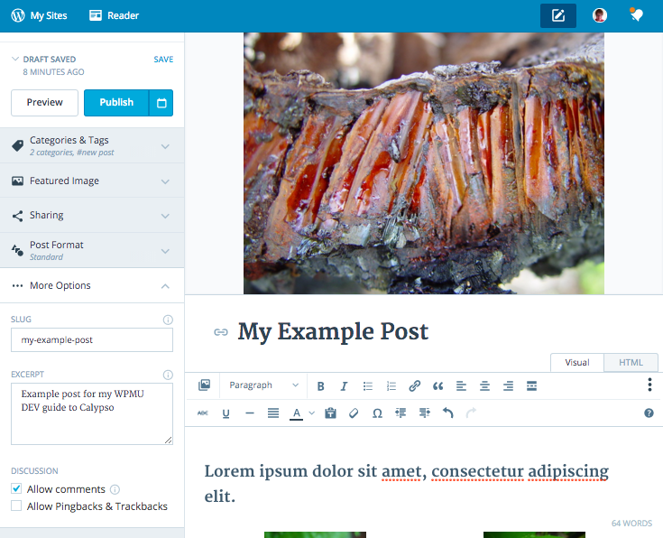 Calypso - post options tab