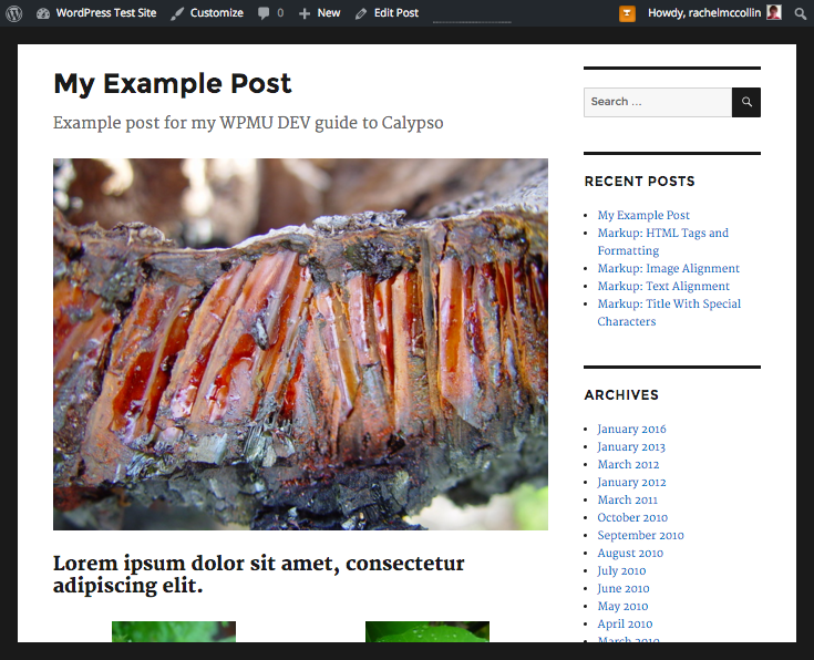 Calypso - published post on site
