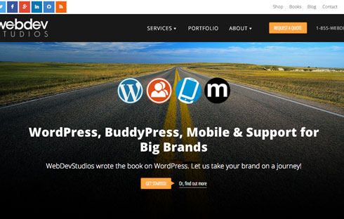 Brad Williams is the CEO and Co-founder of WebDevStudios.com