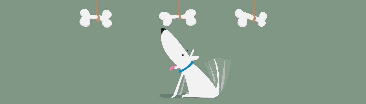 Illustration of dog choosing between three bones.
