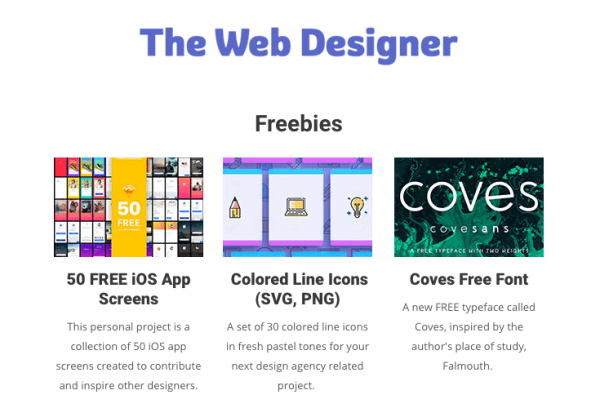 The Web Designer image
