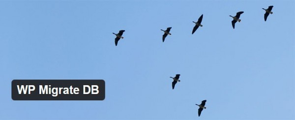 WP Migrate DB image