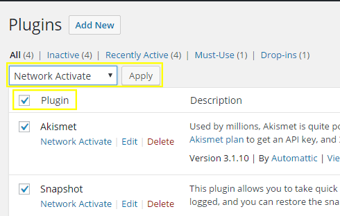 The plugins page with the plugin checkbox clicked and "Network Activate" selected.