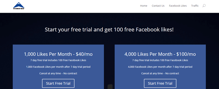 A spam site where visitors can buy Facebook "likes."
