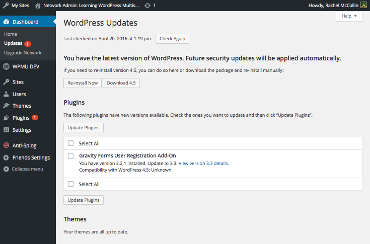 Plugin update screen