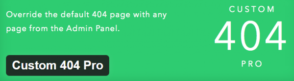 Custom 404 Pro image
