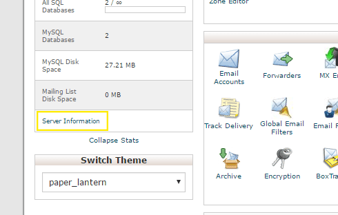 The cPanel homepage with the "server Information" link above the "Switch Theme" section on the left.