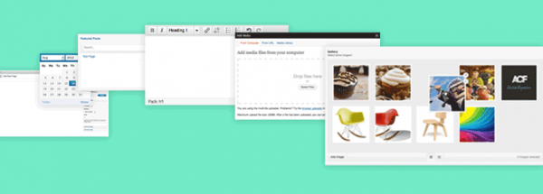 Advanced Custom Fields image