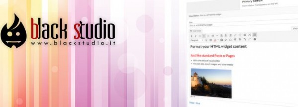 TinyMCE Widget image