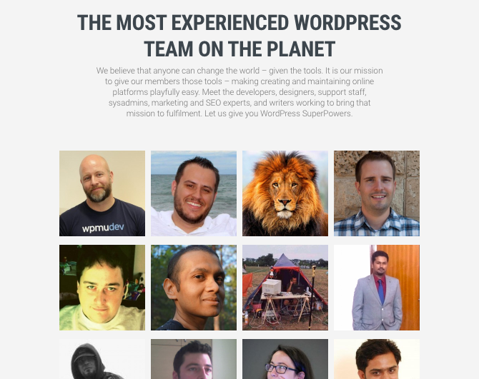 WPMU DEV team