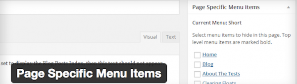 Page Specific Menu Items image