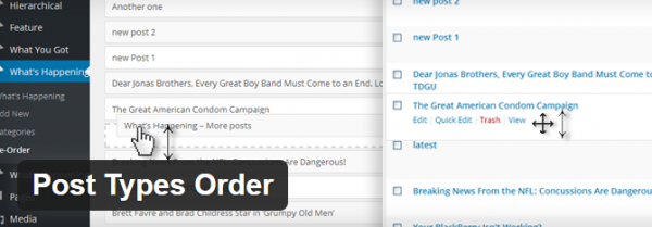 Post Types Order image