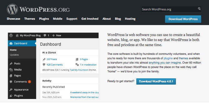 WordPress website