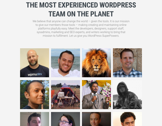 WPMU DEV team page