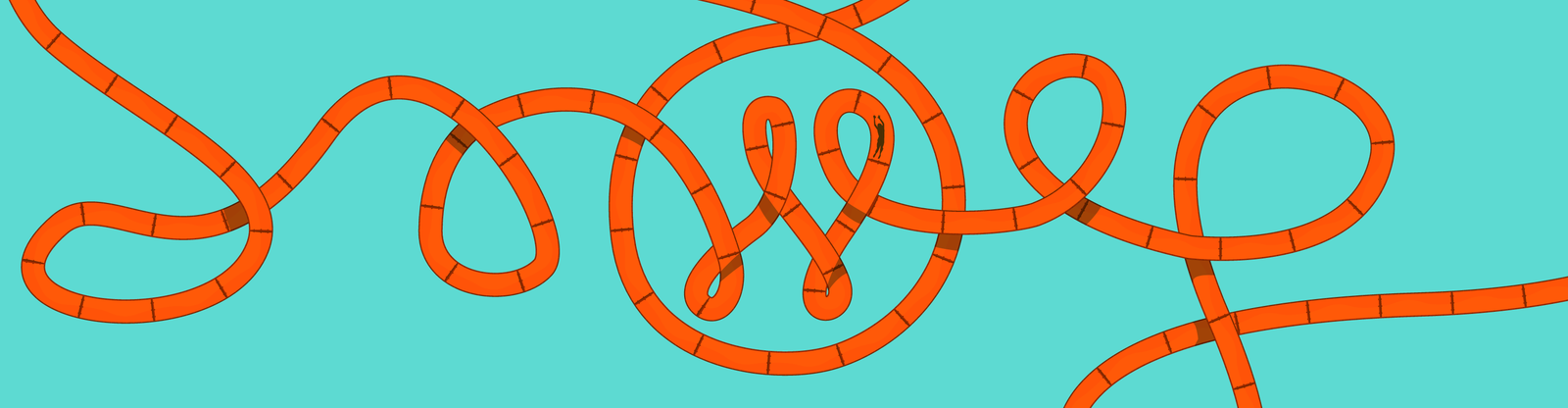 WordPress loop