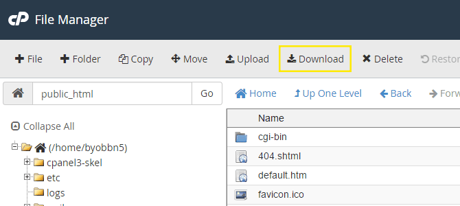 The cPanel file manager.