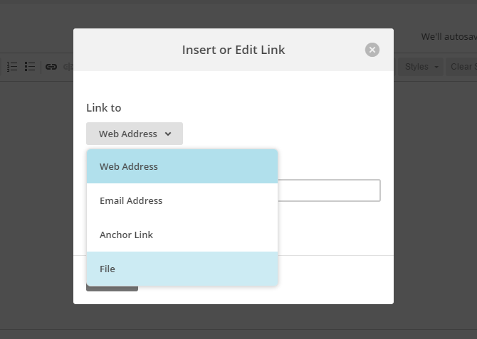In Mailchimp, select the option to link to a file.