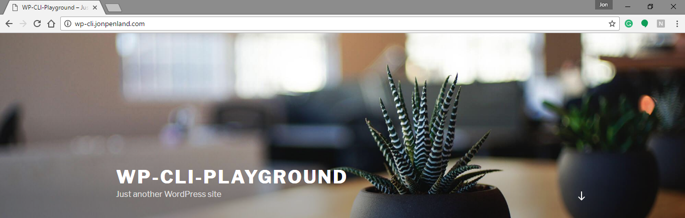 WordPress installation created with wp-cli