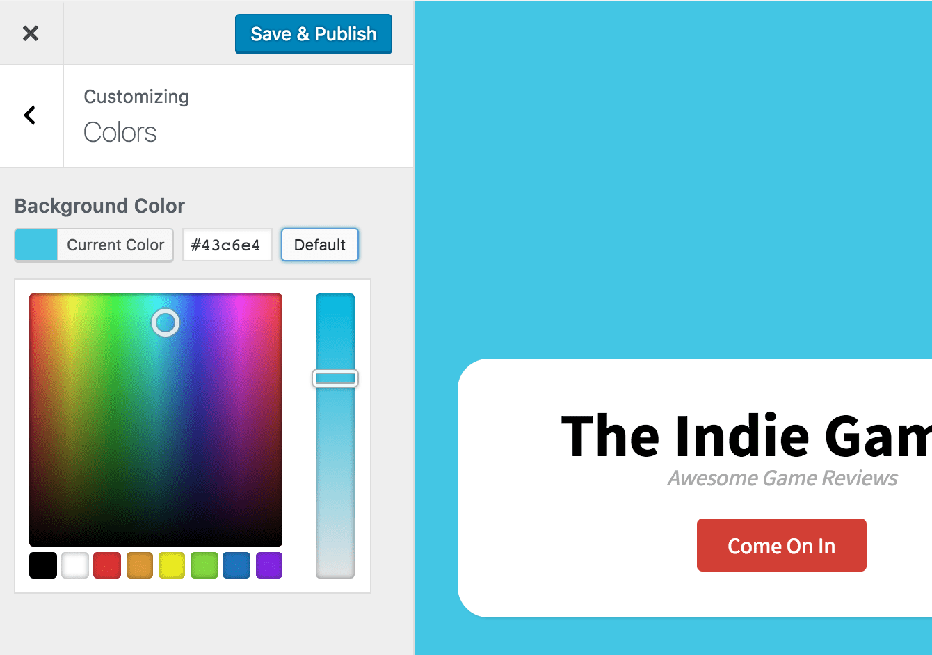 Color Setting In The Customizer